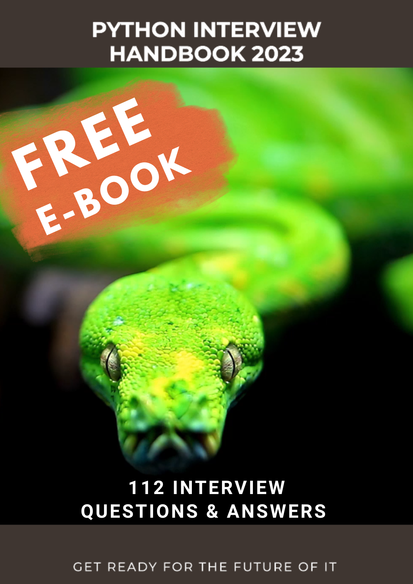 The Python Interview Handbook 2023